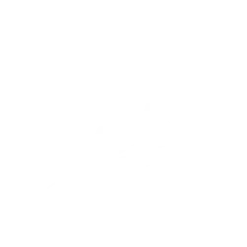 decorazione ramo